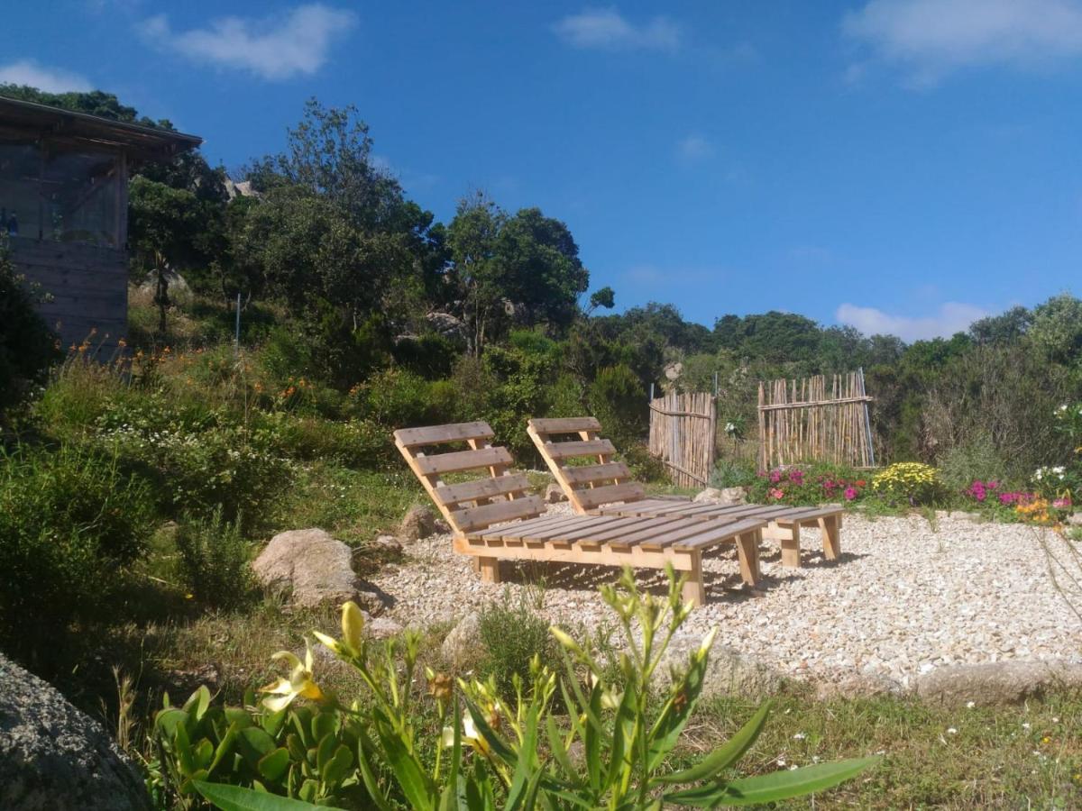 La Cera Farm Camping B&B Santa Teresa Gallura Eksteriør billede