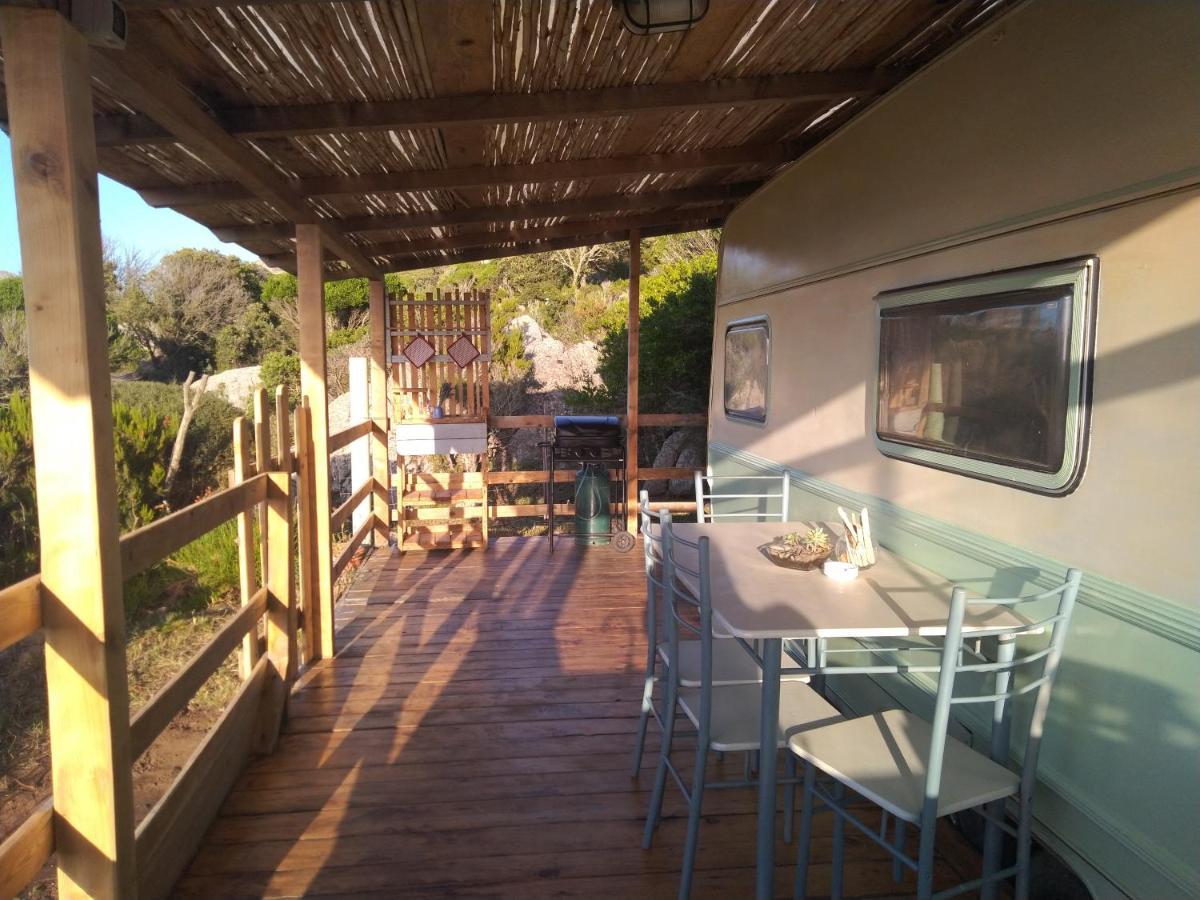 La Cera Farm Camping B&B Santa Teresa Gallura Eksteriør billede
