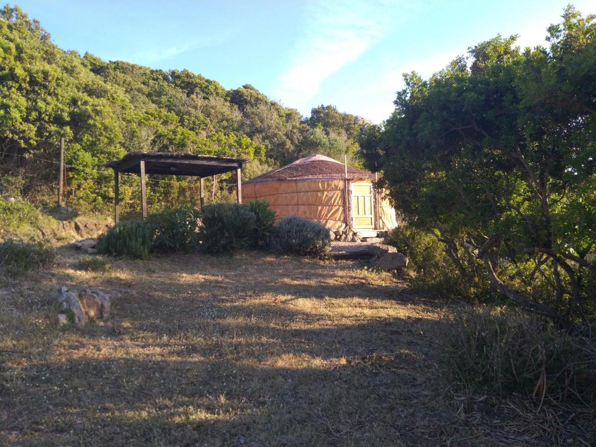 La Cera Farm Camping B&B Santa Teresa Gallura Eksteriør billede
