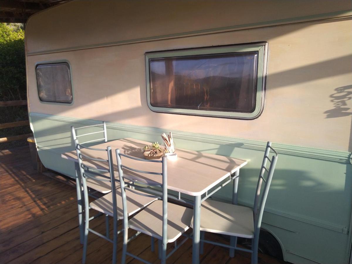 La Cera Farm Camping B&B Santa Teresa Gallura Eksteriør billede