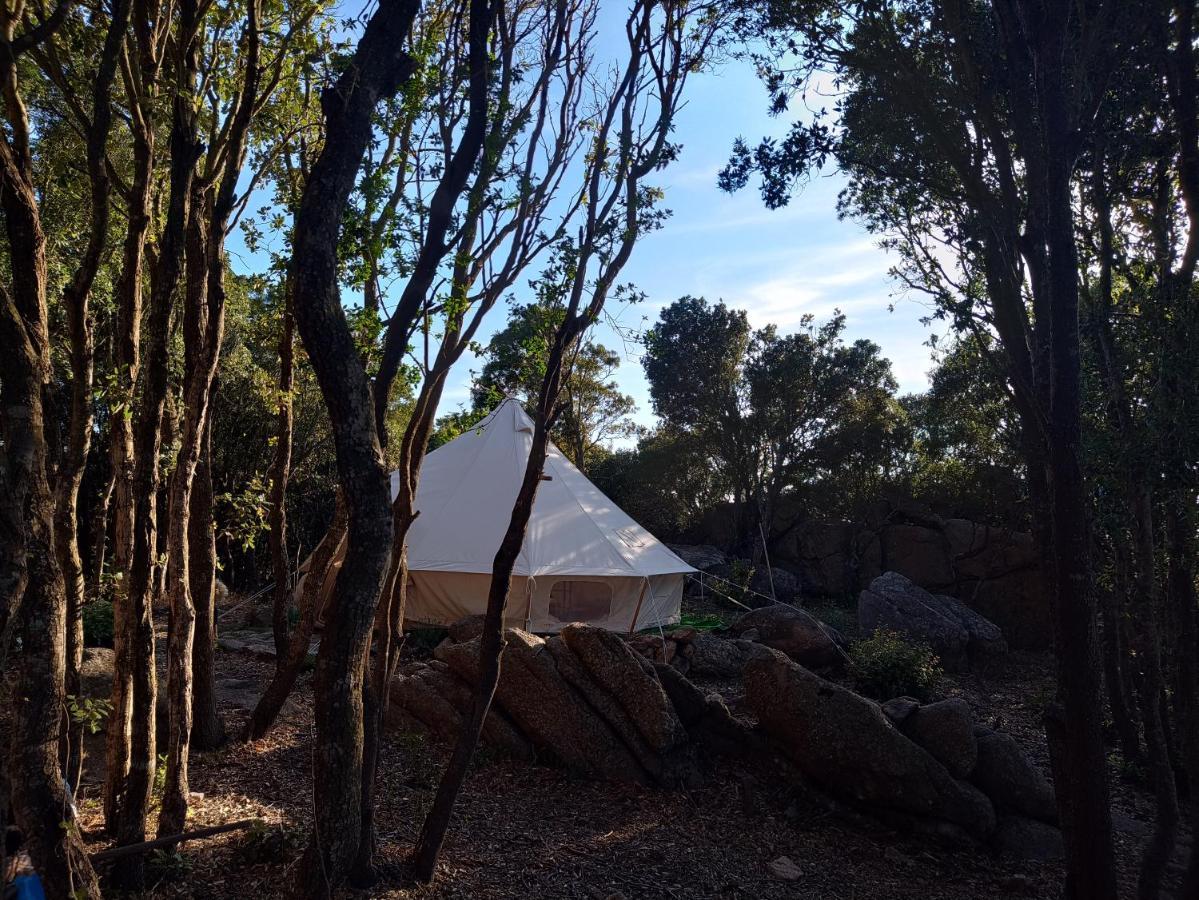 La Cera Farm Camping B&B Santa Teresa Gallura Eksteriør billede