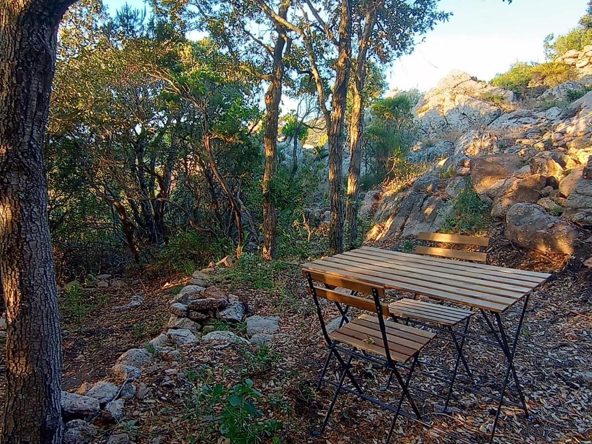 La Cera Farm Camping B&B Santa Teresa Gallura Eksteriør billede