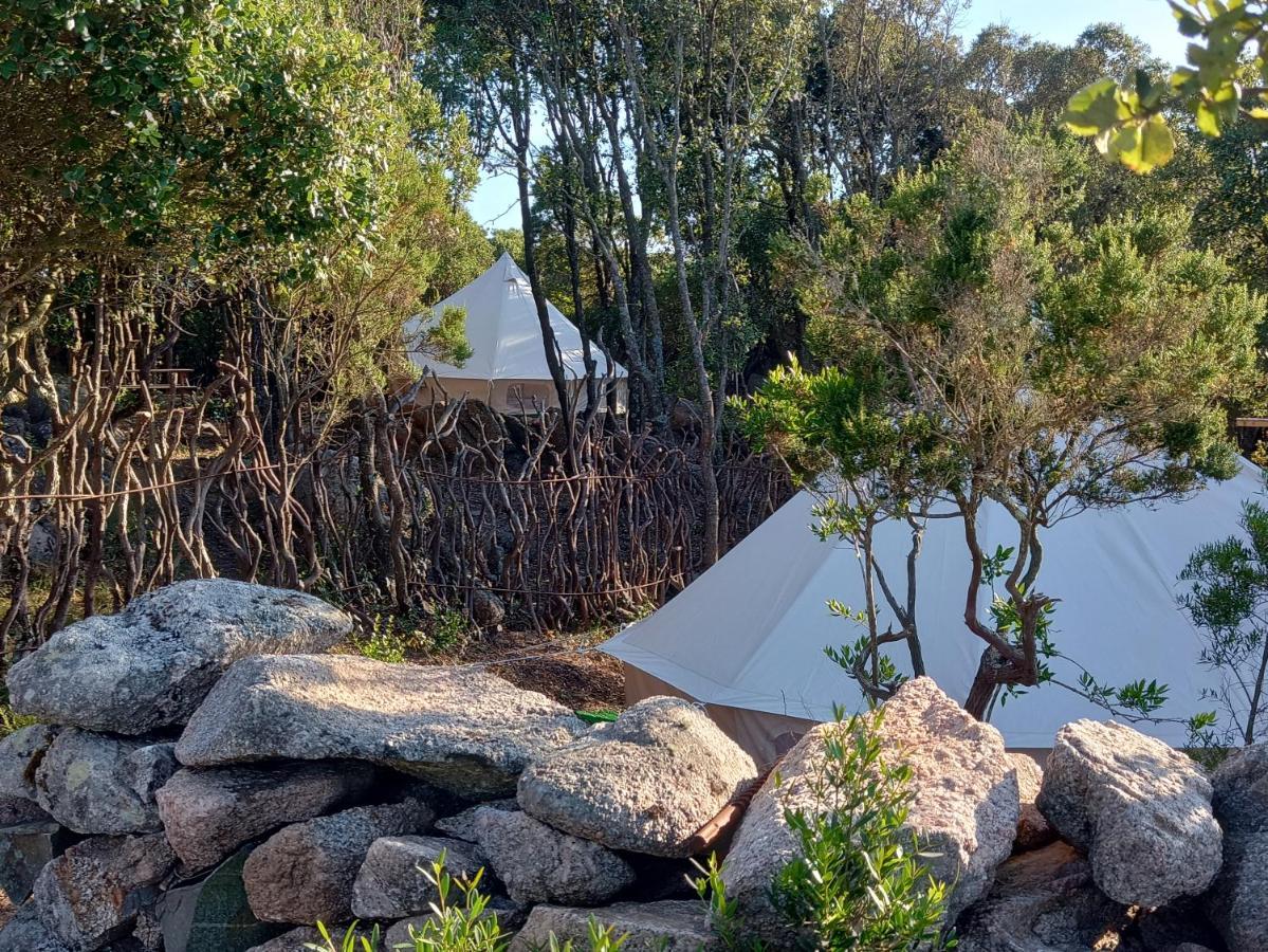 La Cera Farm Camping B&B Santa Teresa Gallura Eksteriør billede