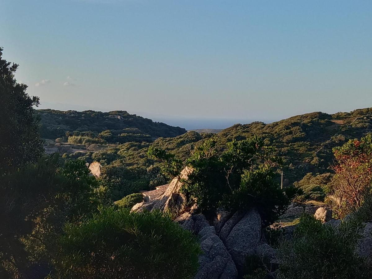 La Cera Farm Camping B&B Santa Teresa Gallura Eksteriør billede