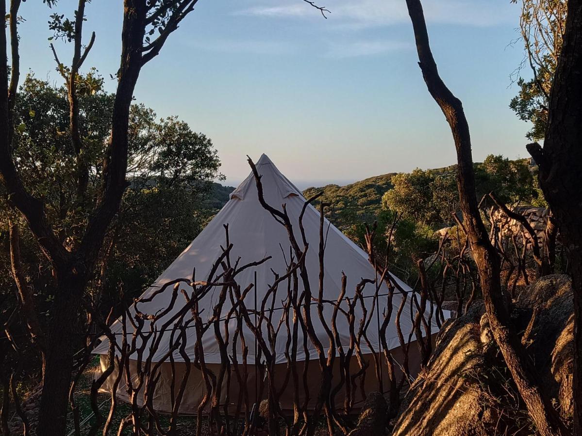 La Cera Farm Camping B&B Santa Teresa Gallura Eksteriør billede