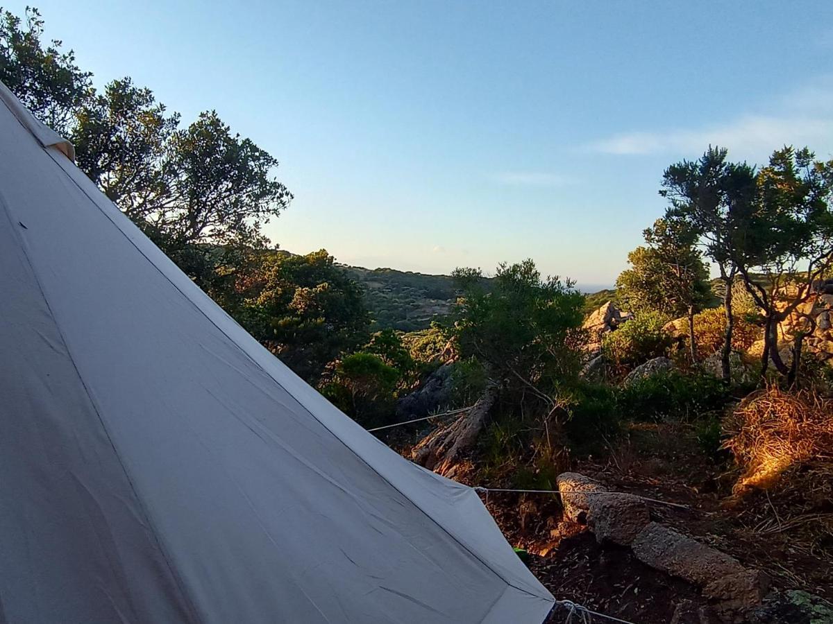 La Cera Farm Camping B&B Santa Teresa Gallura Eksteriør billede