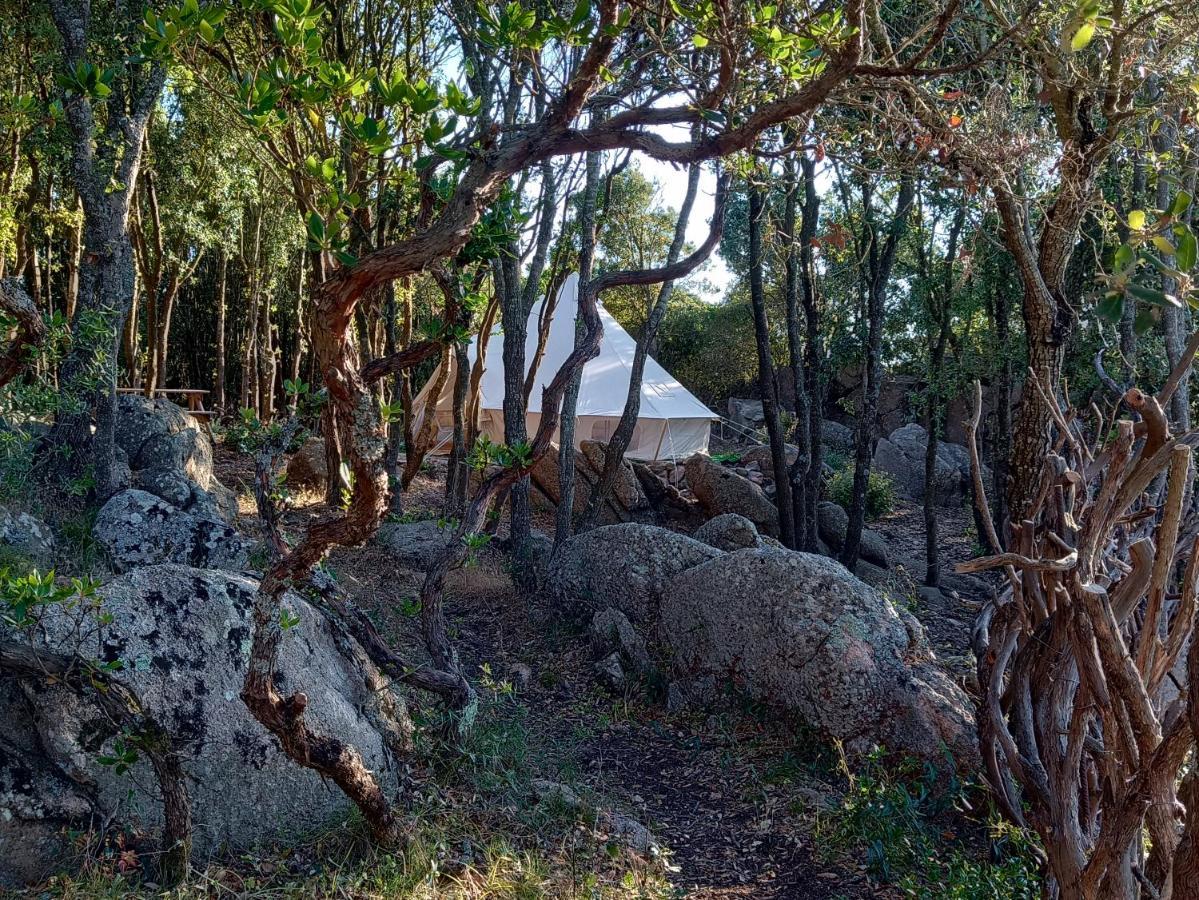 La Cera Farm Camping B&B Santa Teresa Gallura Eksteriør billede