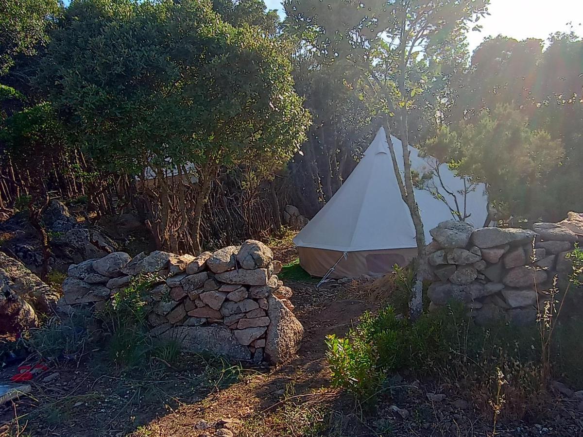 La Cera Farm Camping B&B Santa Teresa Gallura Eksteriør billede