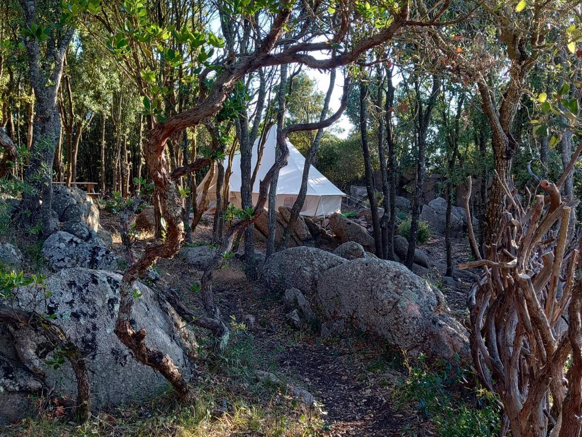 La Cera Farm Camping B&B Santa Teresa Gallura Eksteriør billede