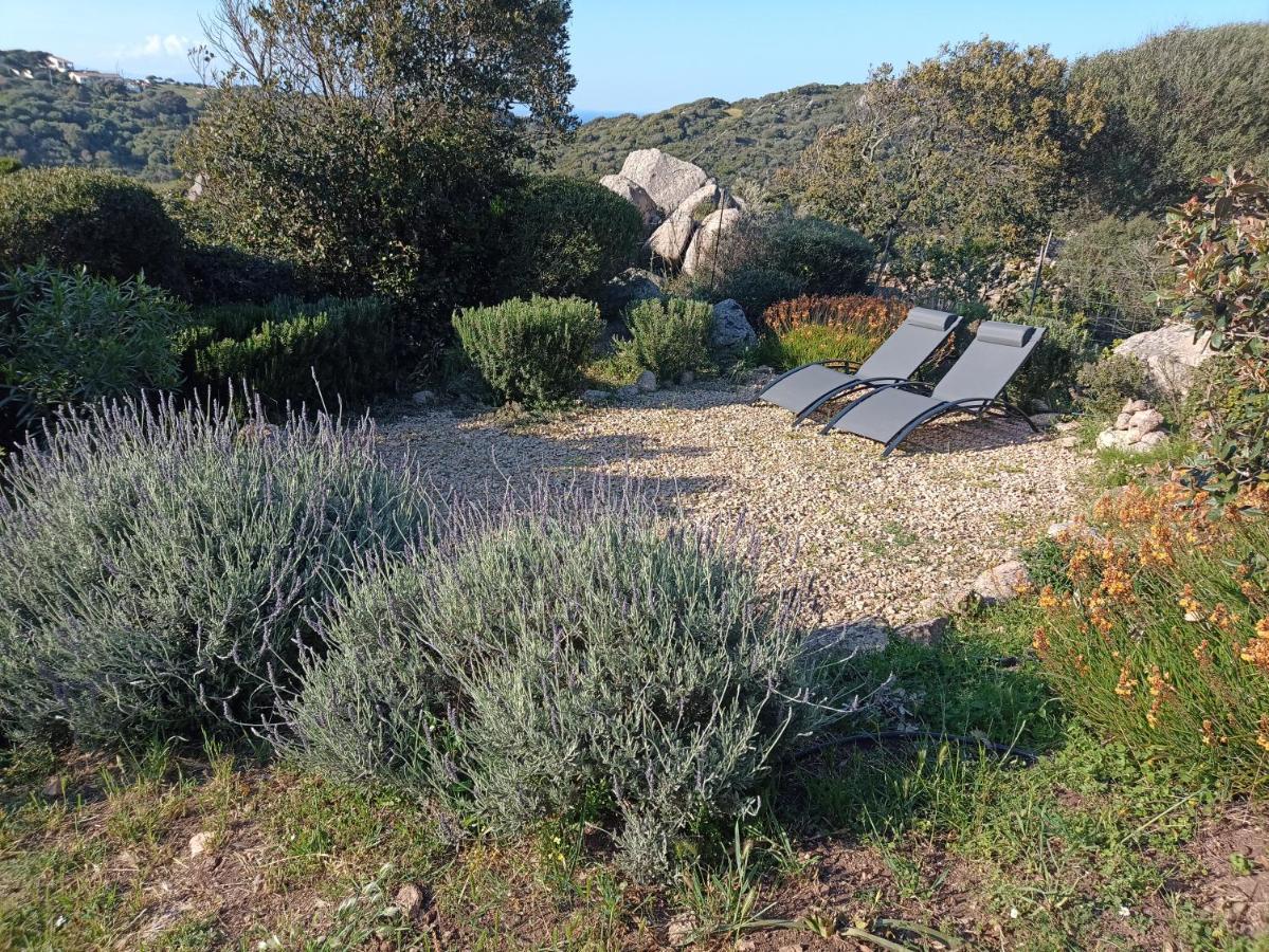 La Cera Farm Camping B&B Santa Teresa Gallura Eksteriør billede