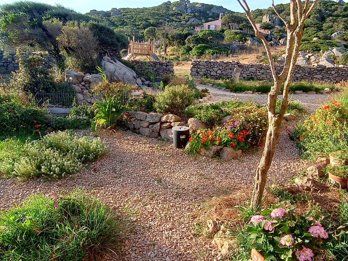 La Cera Farm Camping B&B Santa Teresa Gallura Eksteriør billede