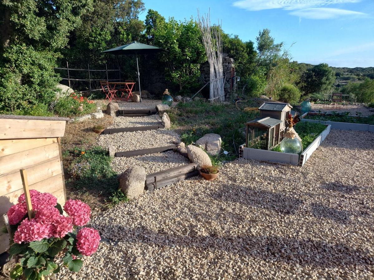 La Cera Farm Camping B&B Santa Teresa Gallura Eksteriør billede