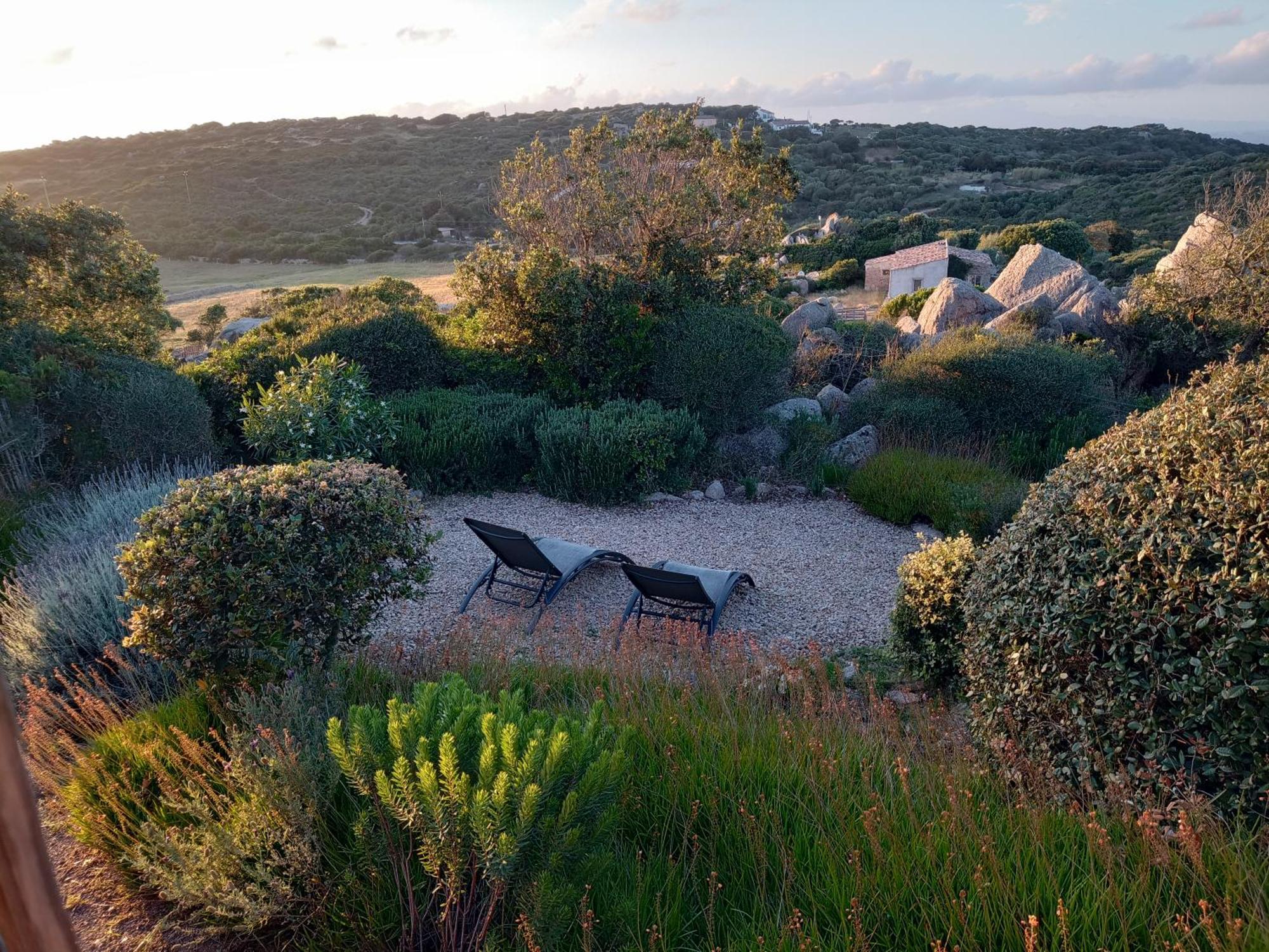 La Cera Farm Camping B&B Santa Teresa Gallura Eksteriør billede