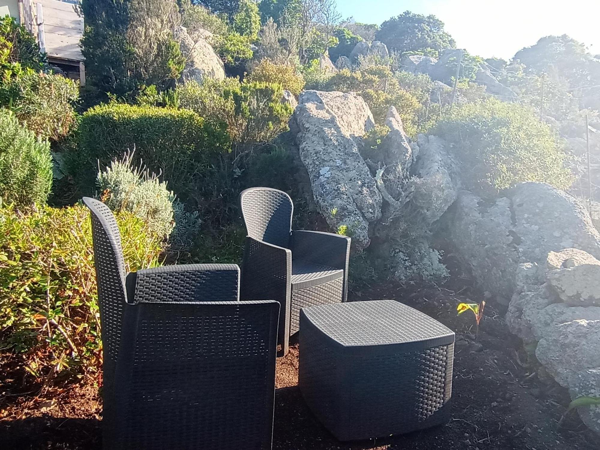 La Cera Farm Camping B&B Santa Teresa Gallura Eksteriør billede