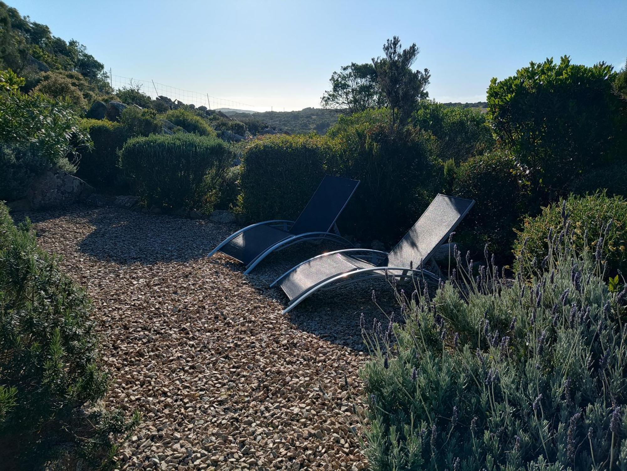 La Cera Farm Camping B&B Santa Teresa Gallura Eksteriør billede