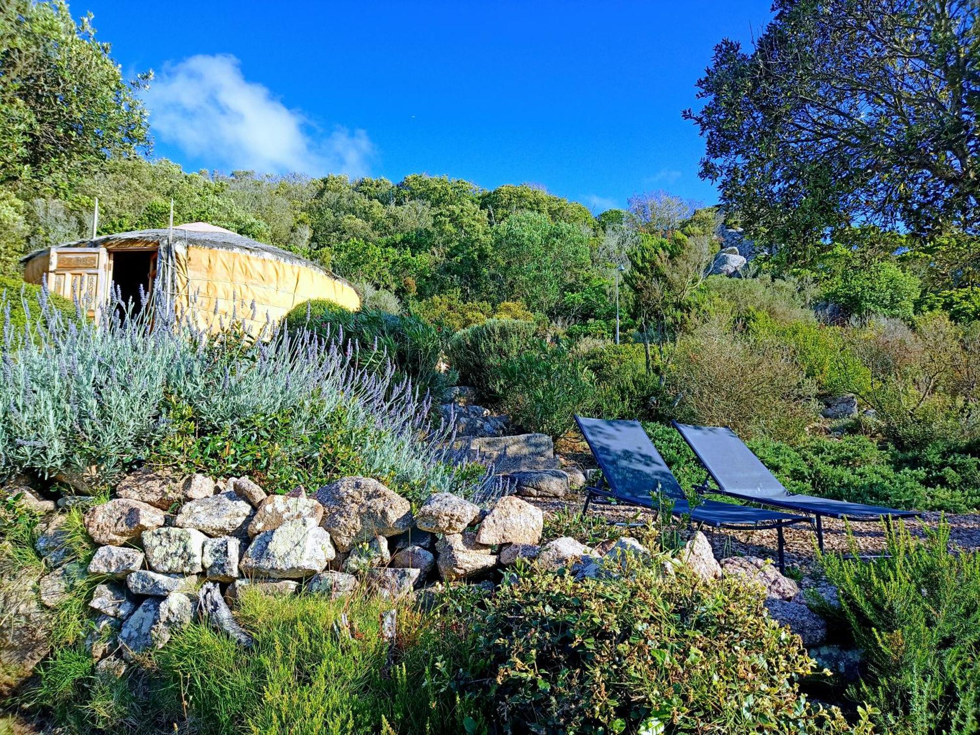 La Cera Farm Camping B&B Santa Teresa Gallura Eksteriør billede