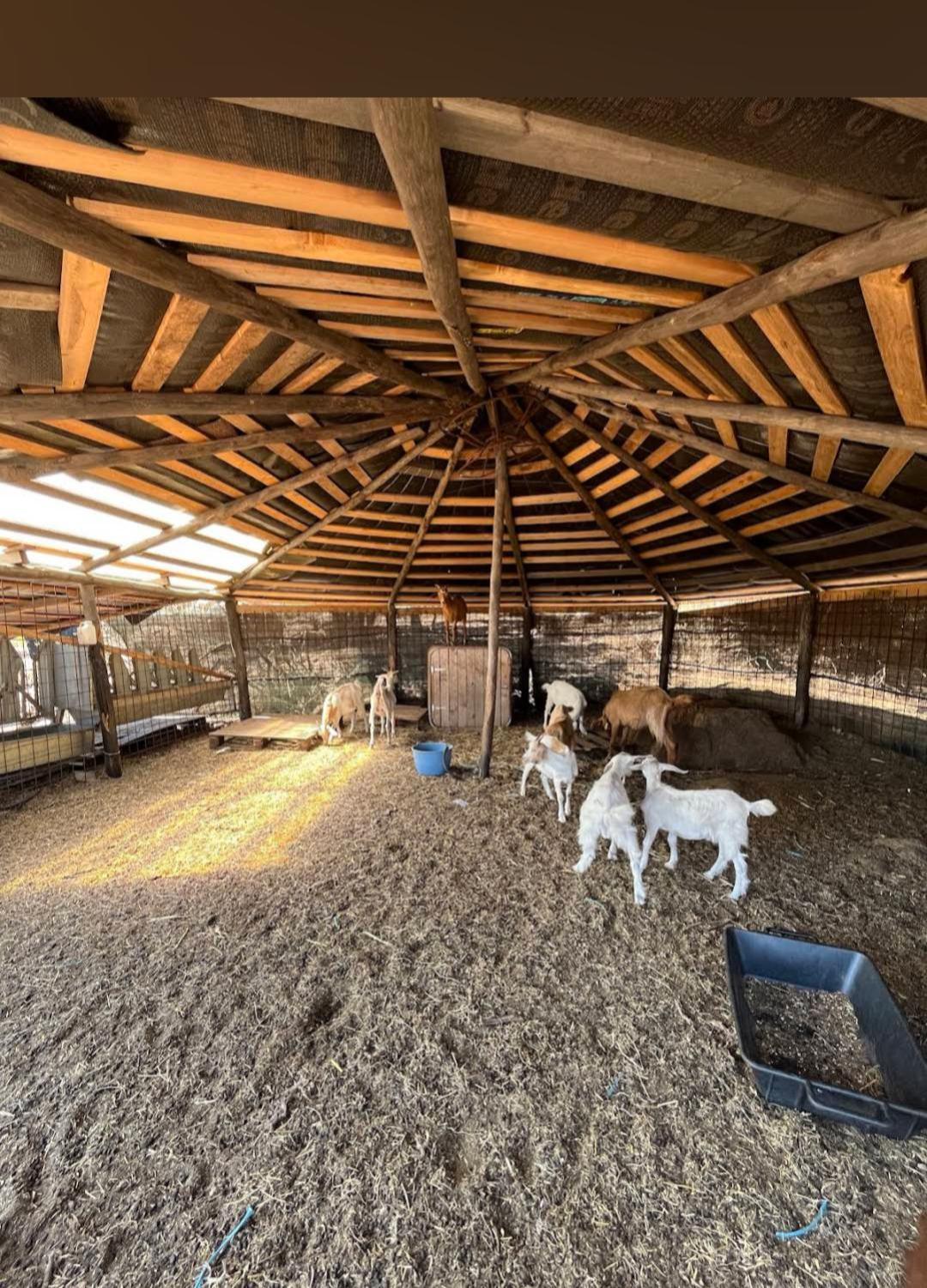 La Cera Farm Camping B&B Santa Teresa Gallura Eksteriør billede