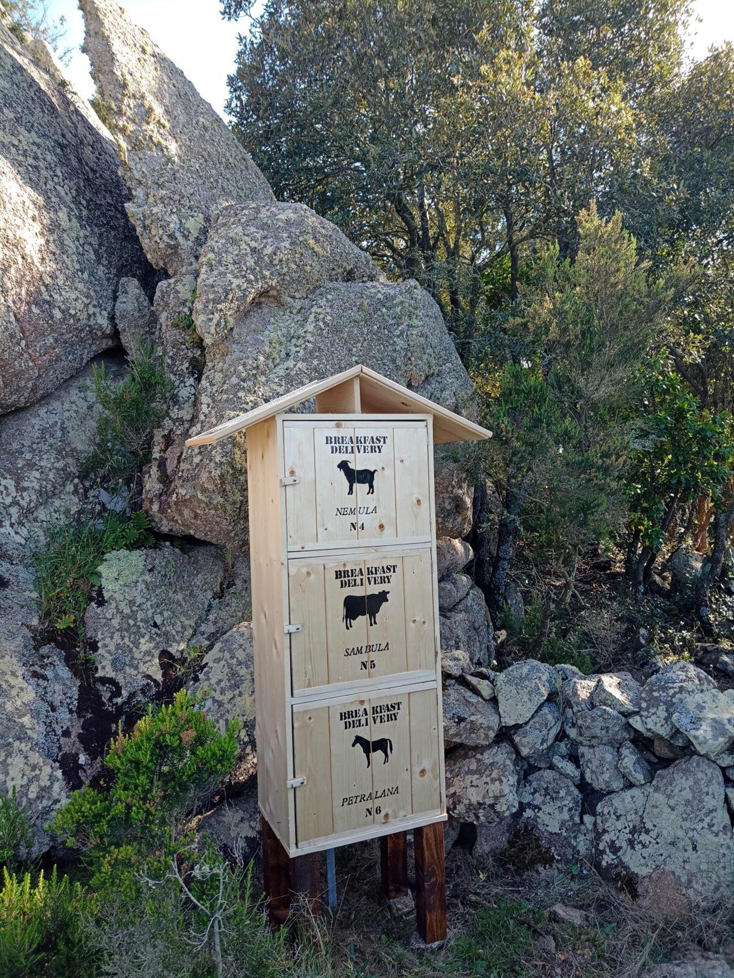 La Cera Farm Camping B&B Santa Teresa Gallura Eksteriør billede