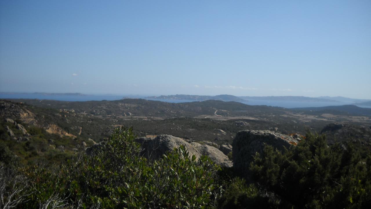 La Cera Farm Camping B&B Santa Teresa Gallura Eksteriør billede