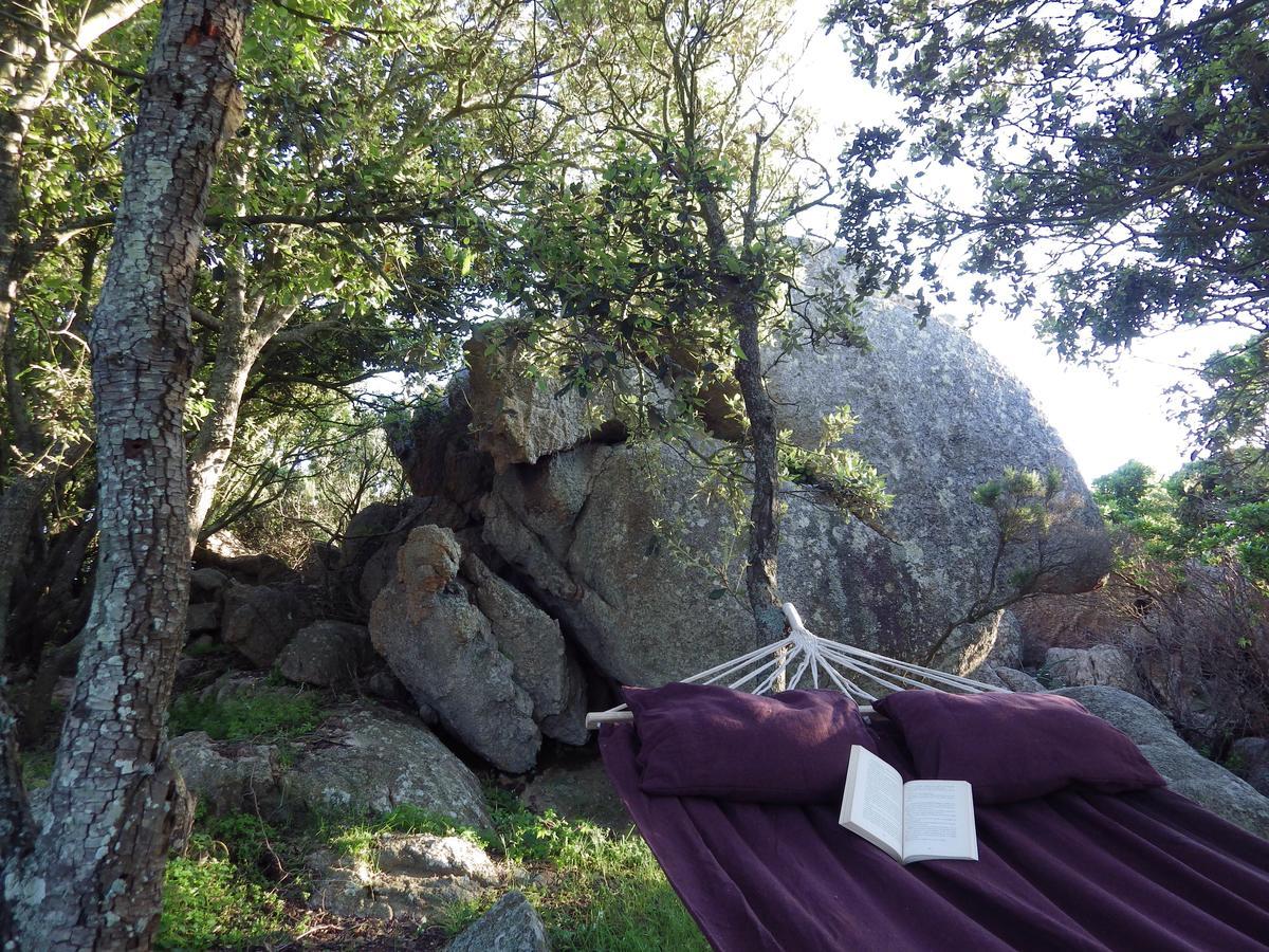 La Cera Farm Camping B&B Santa Teresa Gallura Eksteriør billede