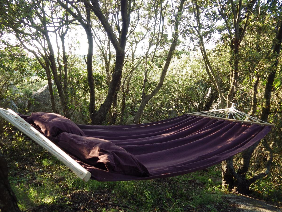 La Cera Farm Camping B&B Santa Teresa Gallura Eksteriør billede