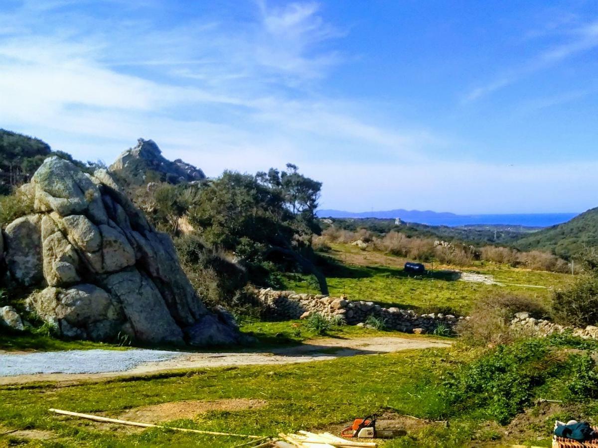 La Cera Farm Camping B&B Santa Teresa Gallura Eksteriør billede